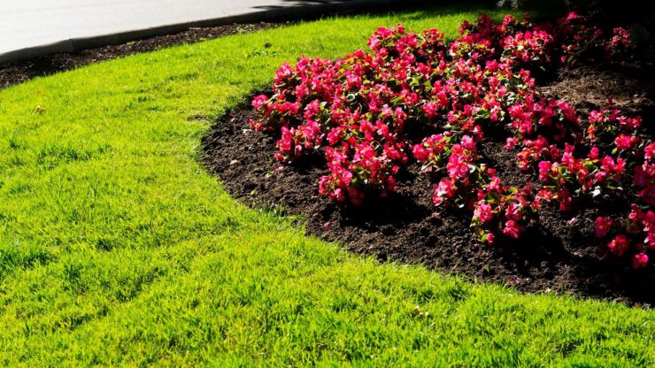 Cerca de 25.000 flores pondrán color a las calles de Pozuelo este verano
