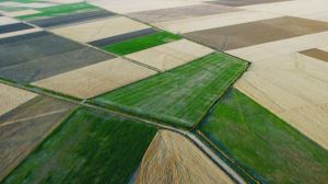 La Junta aprueba los planes de mejoras territoriales y obras de dos zonas de Salamanca y Zamora