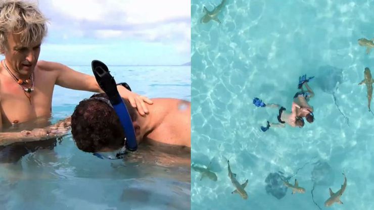 La reposición de 'Planeta Calleja' da la sorpresa en una noche dominada por el cine