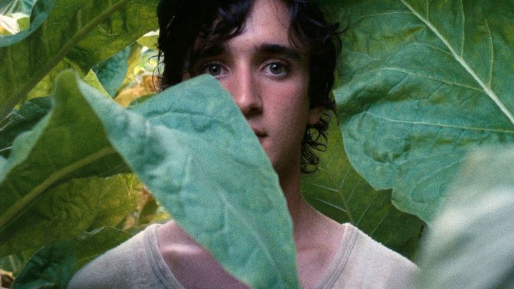 Lazzaro feliz