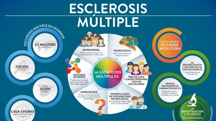 Una nueva técnica para medir la atrofia de la médula espinal ayudará en el estudio de la esclerosis múltiple