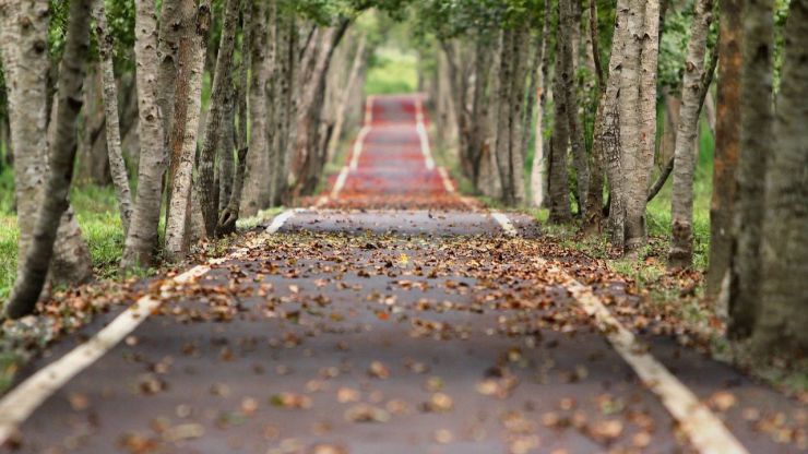 La vida te lleva por caminos raros