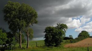 Llega la primavera en plena cuarentena y con un clima casi invernal