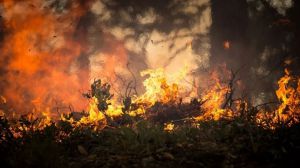 Greenpeace: El abandono de la España rural eleva el riesgo de grandes incendios