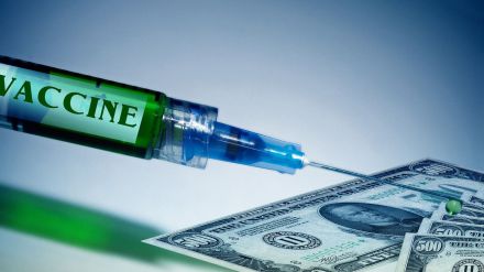 La búsqueda de la vacuna anti Coronavirus: Por el dinero baila el... mono