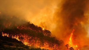 Alerta: los incendios en varias regiones del planeta agudizarán la emergencia climática