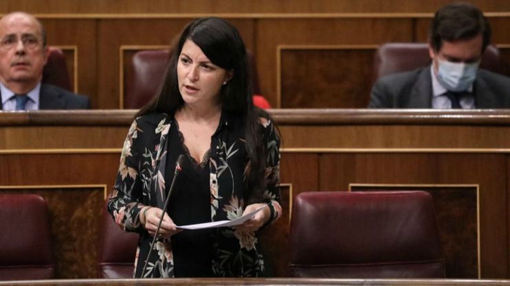 Olona carga contra el 'caso Dina' y pide responsabilidades al Gobierno