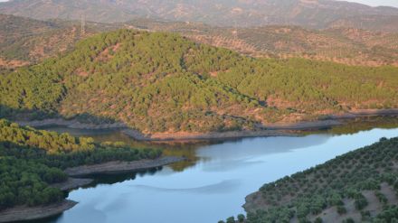 22 años de cárcel por asesinar a su mujer en Arganda y arrojar el cadáver a un pantano de Córdoba