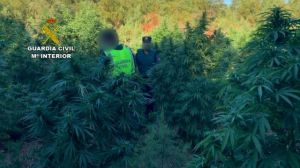 Detenido uno de implicados en el tiroteo a tres guardias civiles en la Sierra de Cádiz