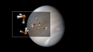 Detectan un posible marcador de vida en Venus