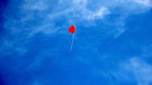 Día Mundial del Corazón: Los fallecimientos por infarto se han duplicado durante la pandemia