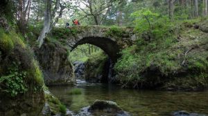Ecologistas en Acción solicita la expropiación del Pinar de los Belgas y su inclusión en Guadarrama