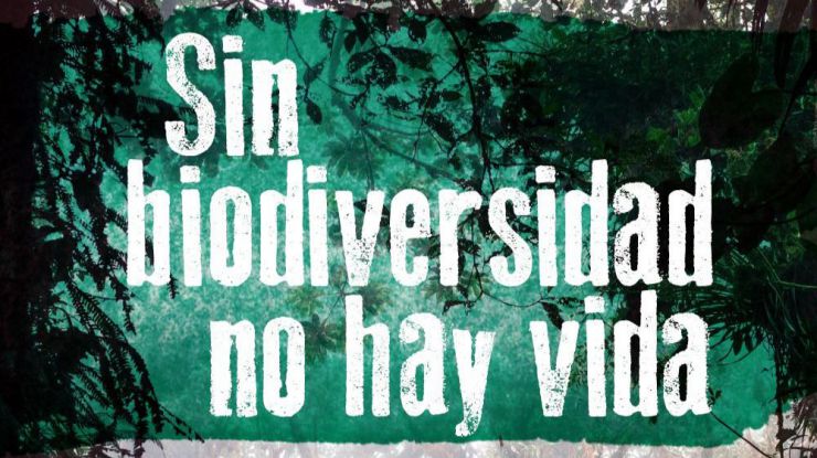 Detener la pérdida de biodiversidad requiere de una decidida voluntad política