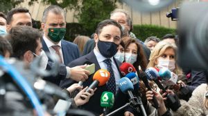 Abascal lleva los seis meses de estado de alarma al Constitucional