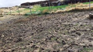 WWF denuncia graves impactos sociales por parte de la granja peletera de Peguerinos