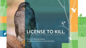 14 millones de aves mueren por 
