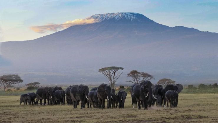 África Oriental: Salvaje, majestuosa, exuberante