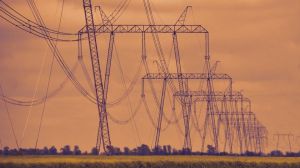 Las infraestructuras eléctricas como corredores ecológicos para la pequeña fauna