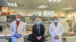Un nuevo test inmunológico para estudiar la seroprevalencia frente al Covid 'marca España'
