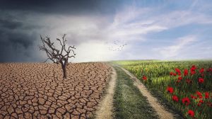 El mundo está indefenso ante la emergencia climática