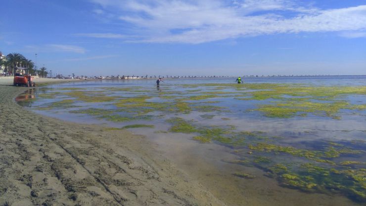 Las administraciones públicas españolas como grandes vulneradoras de la legislación ambiental en Europa