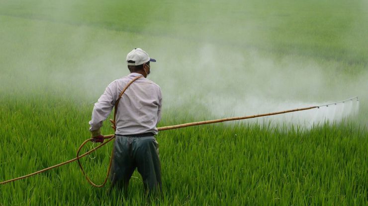 Contra la aprobación de plaguicidas tóxicos para polinizadores y personas