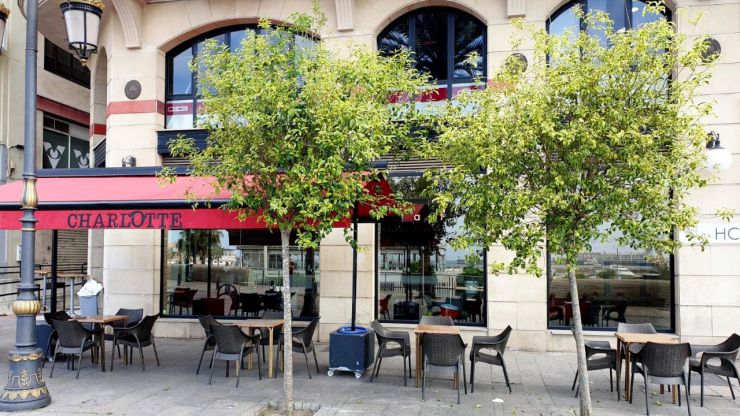 'Don, sin din, carajos en latín'