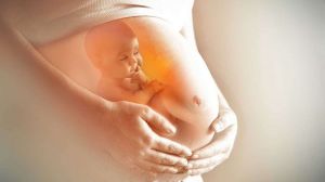 VOX propone poder registrar con plenos derechos a los hijos concebidos