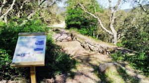 Las obras de los presos de la Guerra Civil en el Estrecho deben ser Lugar de Memoria de Andalucía