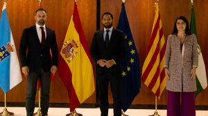 VOX recurre al TC para obtener el senador que 
