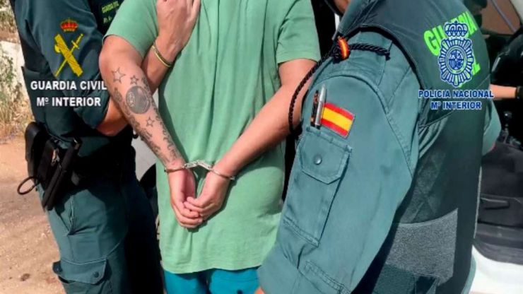14 detenidos entre Málaga, Sevilla y Ceuta en el desmantelamiento de una red de tráfico de cocaína