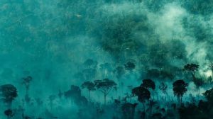 La Amazonía brasileña registró en junio la peor cifra de incendios en 14 años