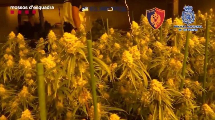 Un centenar de detenidos en una macrooperación contra el crimen organizado de origen albanés