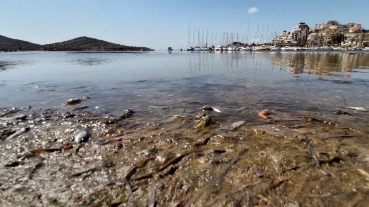 El Mar Menor al borde de la desaparición