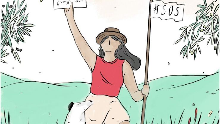 SOS campesinado: La lucha de un grupo de mujeres del mundo agroecológico y el feminismo