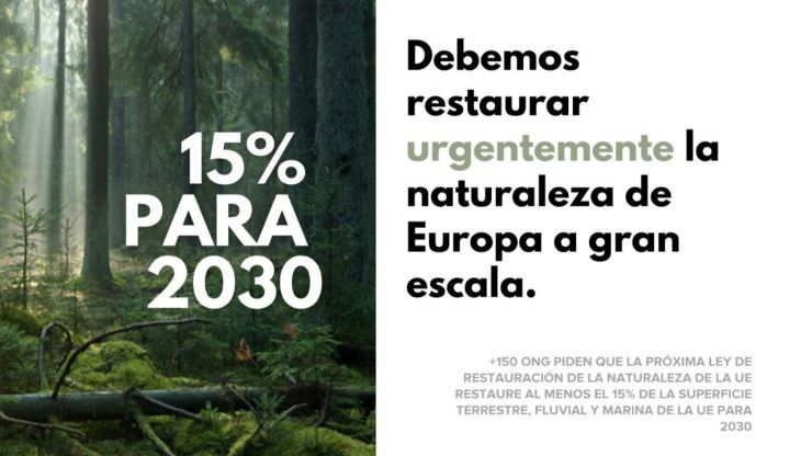 Más de 150 ONG se plantan y exigen objetivos ambiciosos ante la ley de restauración de la naturaleza de la UE