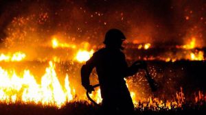 Crisis climática: Los incendios forestales aumentarán un 50% para fin de siglo