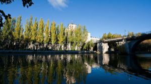 Ciudad Europea del Vino: 22 motivos para visitar Aranda de Duero en Burgos