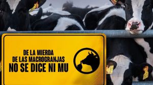 Se estrecha el cerco a las macrogranjas en la UE