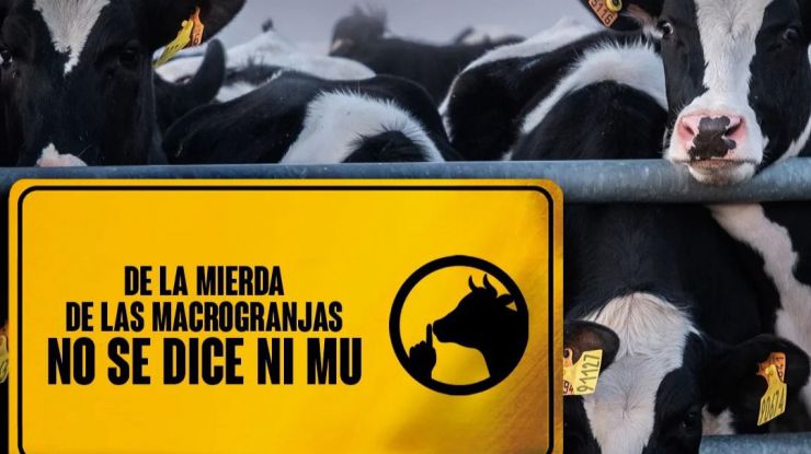 Se estrecha el cerco a las macrogranjas en la UE