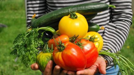 ¿Es posible la independencia alimentaria y energética para alimentar a la población española?