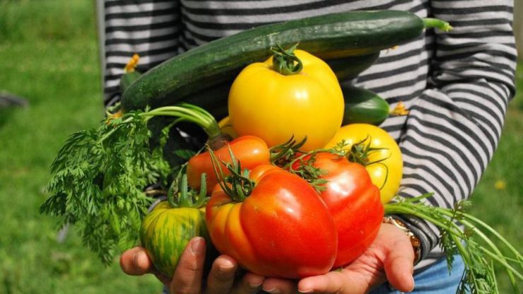 ¿Es posible la independencia alimentaria y energética para alimentar a la población española?