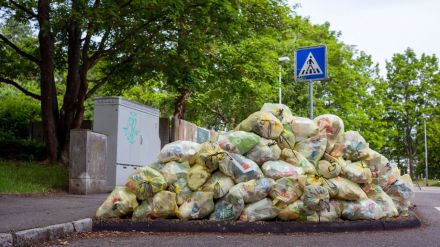 Planas: 'Los hogares españoles redujeron el desperdicio de alimentos en 2021'