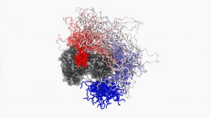 Investigadores identifican un mecanismo generalizado que emplea una familia de virus para iniciar infecciones