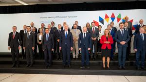 Planas apela a la unidad para evitar 