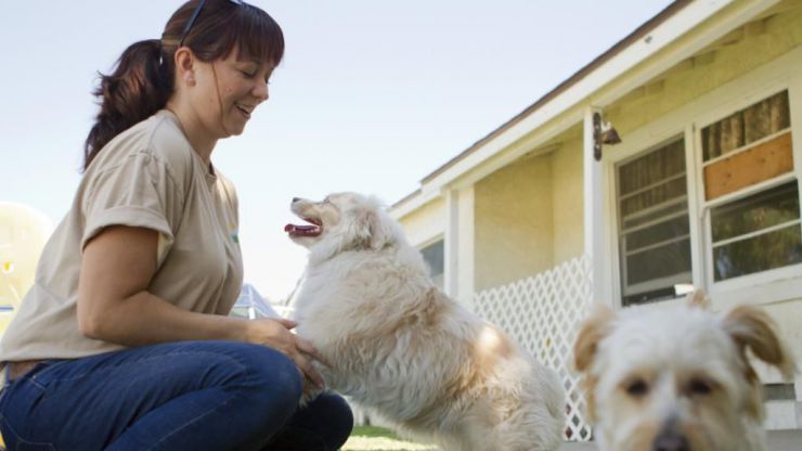 Agenda: La Comunidad de Madrid organiza el XVII Salón de la Adopción de animales de compañía