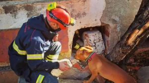 Un bombero fuera de servicio y su perra rescatan a un hombre tras llevar un día perdido
