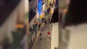 Al grito de 