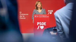 El PSOE quiere matizar los 