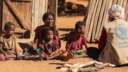 Miles de millones de personas en el mundo no pueden permitirse una dieta sana
